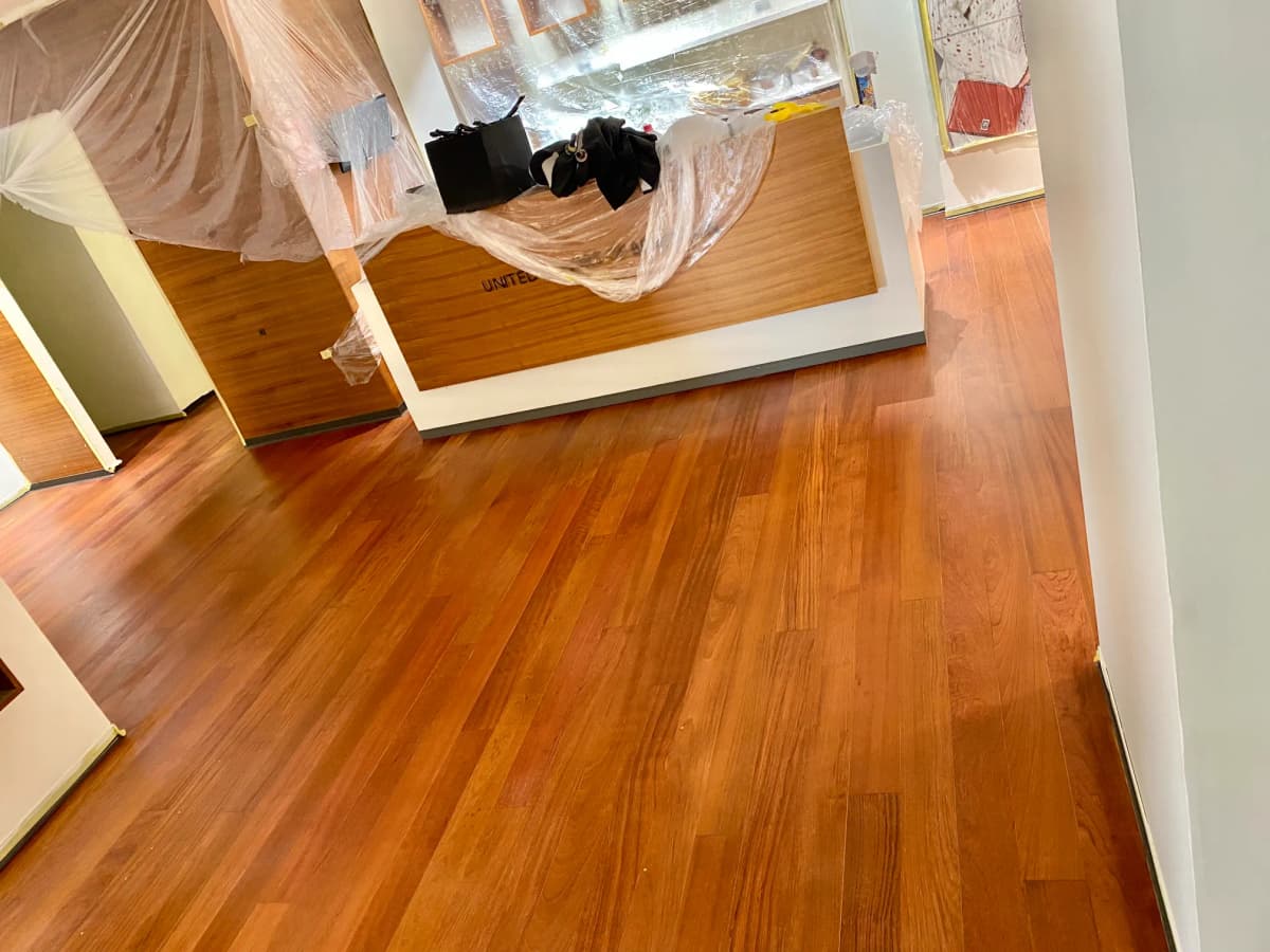 Afagamento-Afizélia 1