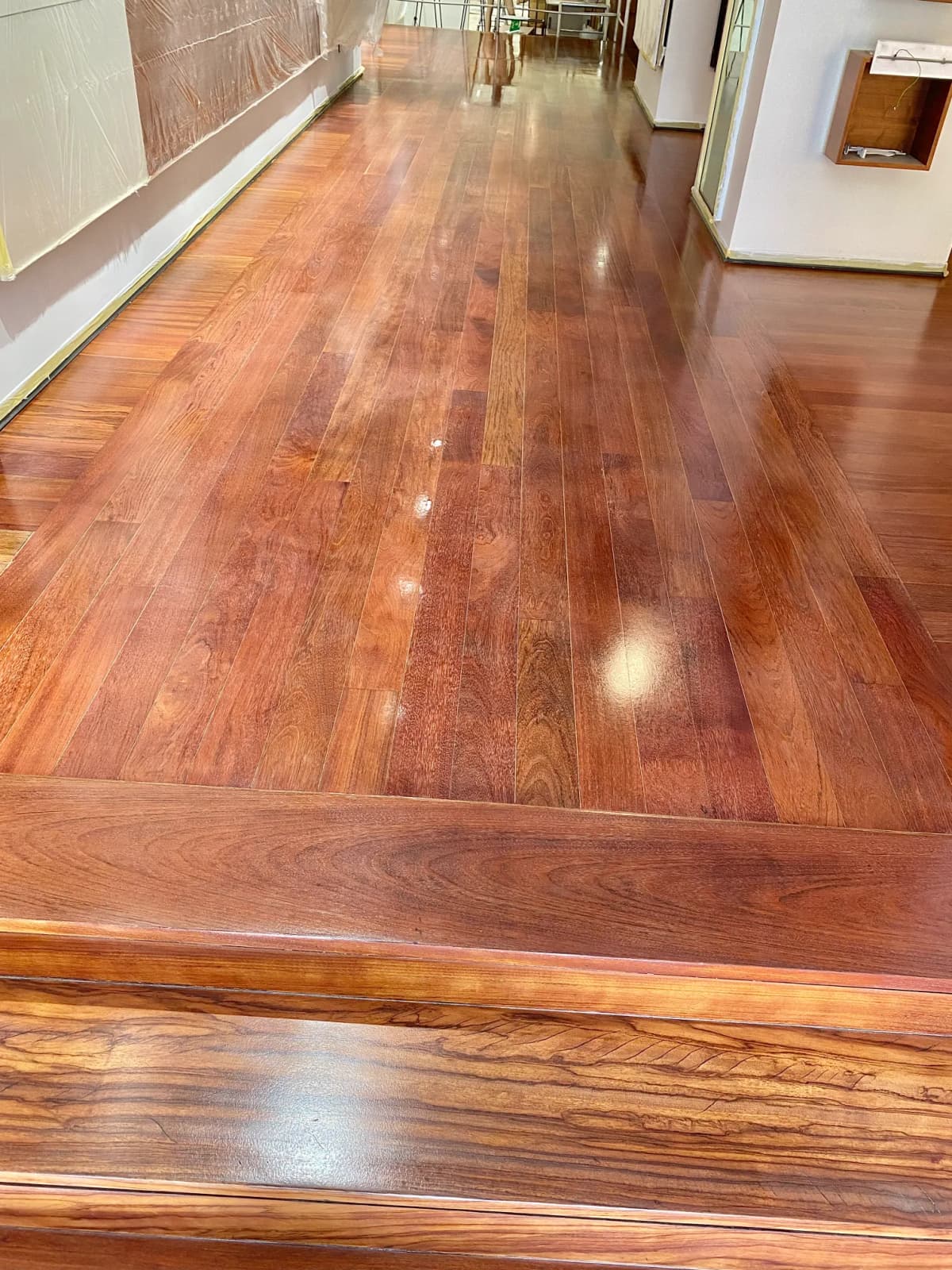 Afagamento-Afizélia 3